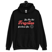 Load image into Gallery viewer, &quot;You Are Not Forgotten&quot; Statement Piece Hoodie
