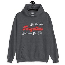 Load image into Gallery viewer, &quot;You Are Not Forgotten&quot; Statement Piece Hoodie
